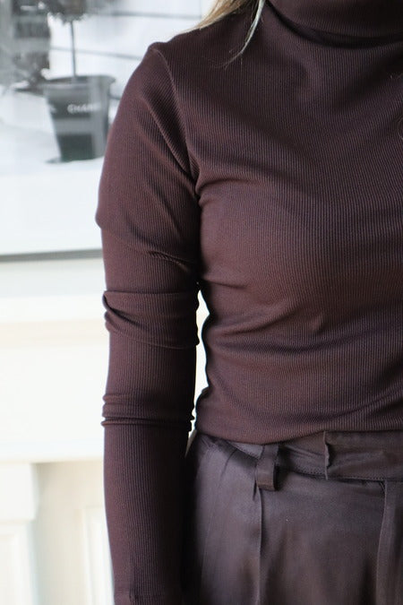 Long Sleeves Basic Top - Brown