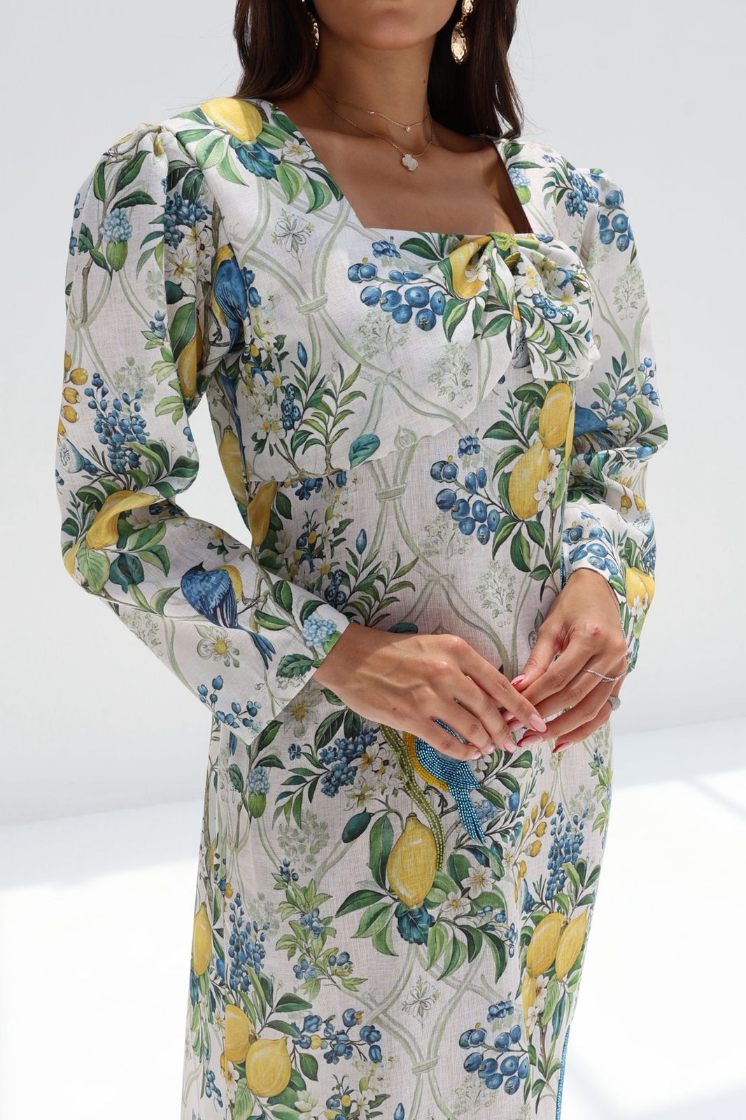 L159 Lemon Bird Embroidered Dress